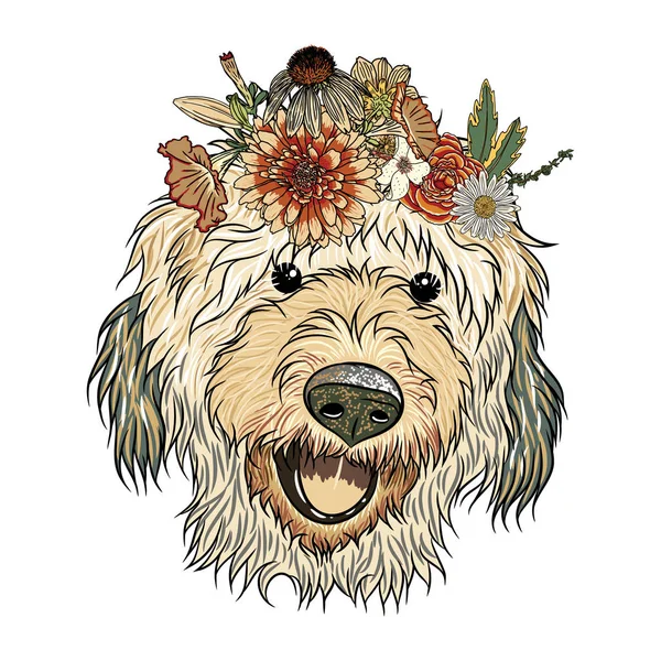 Cte Labradoodle cachorro chica — Vector de stock