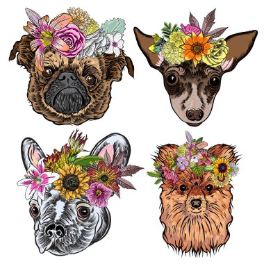 Egzotik çiçek çelenk köpeklerle karikatür