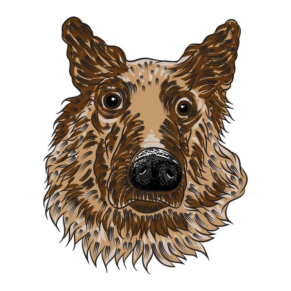Portrait of German Shepherd puppy — Stock Vector