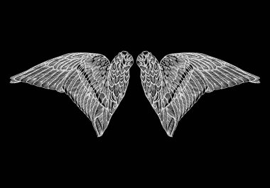 Çift elle çizilmiş vintage kanatlar