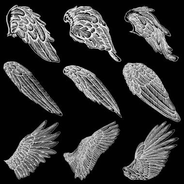 Elle çizilmiş kanat seti