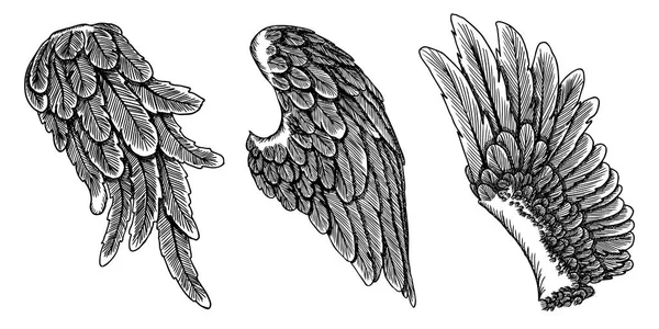 Hand drawn wings set — Stock Vector