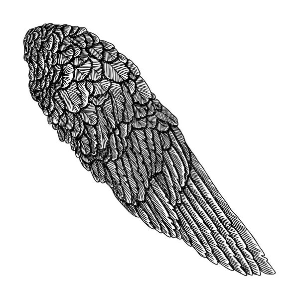 Ескіз крила ангела — стоковий вектор