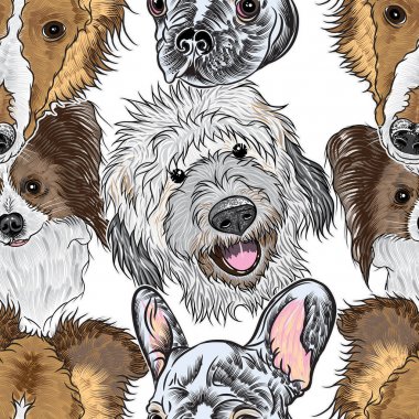 Dikişsiz desen safkan sevimli köpekler