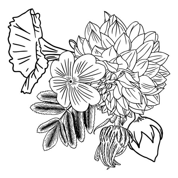 Buquê de diferentes flores desenhadas à mão — Vetor de Stock