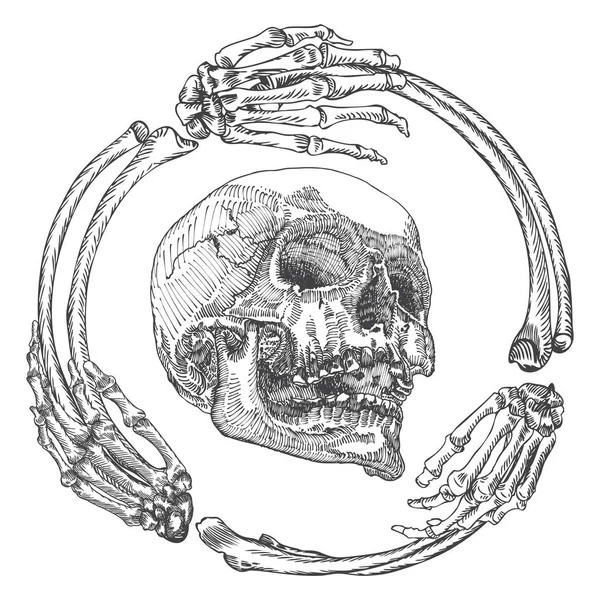 Crânio no quadro feito de ossos de mãos —  Vetores de Stock