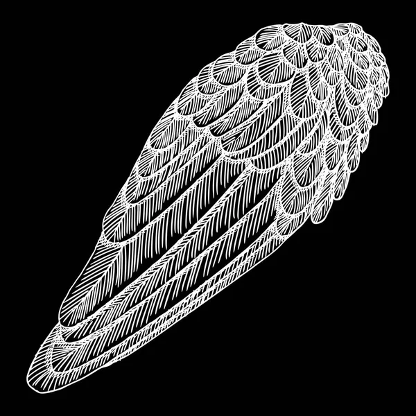 Bird wing sketch — Stock Vector