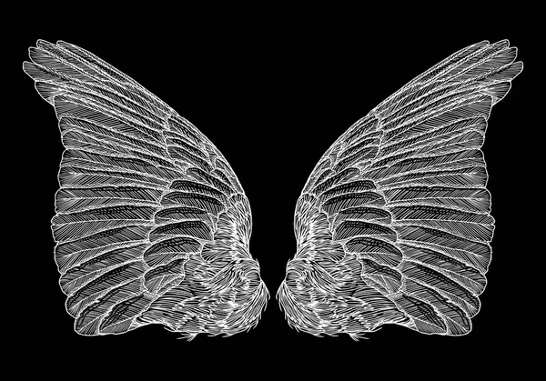 Paire d'ailes vintage dessinées à la main — Image vectorielle