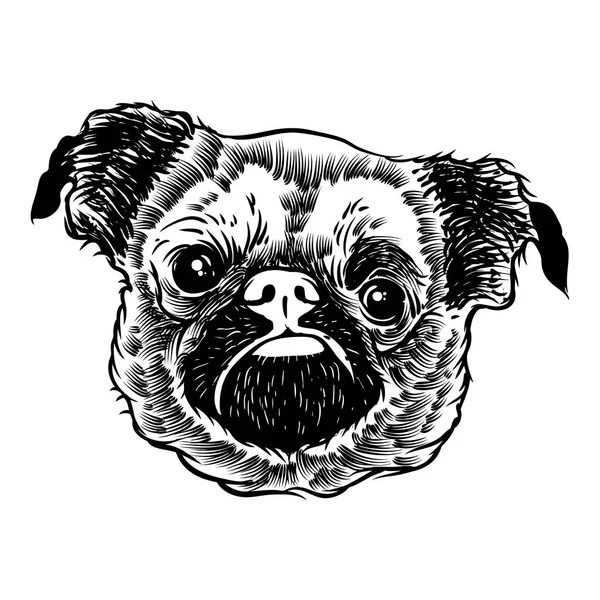 Pug chiot illustration — Image vectorielle