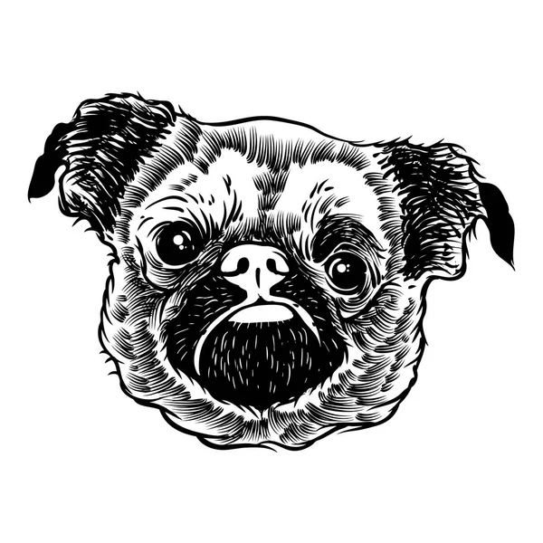 Pug filhote ilustração — Vetor de Stock