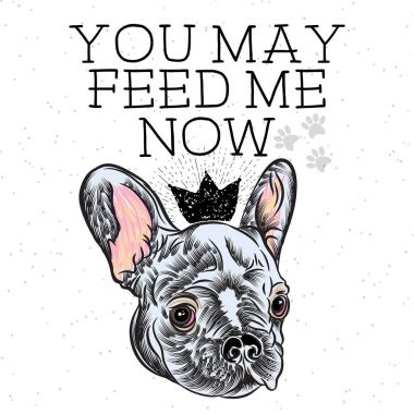 Hayvan broşür kartı