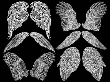 Ve güzel yayılmış kanatlar