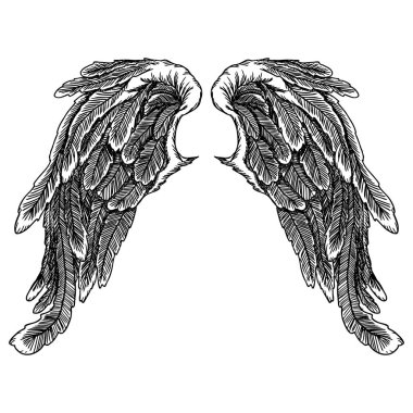 Ve güzel yayılmış kanatlar