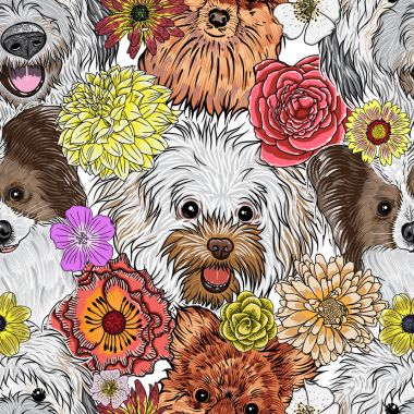 sevimli köpekleri ile Seamless Modeli