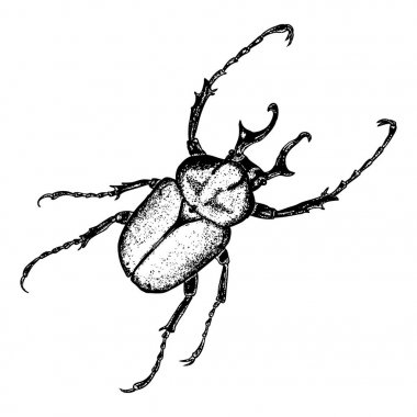 İzole set çizim böcek noktalarla