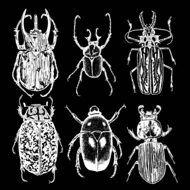İzole set çizim böcek noktalarla