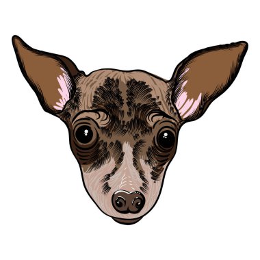 Oyuncak korkunç köpek yavrusu portresi