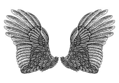 Kanatları küme çifti