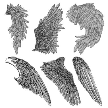 Kanatları illüstrasyon seti