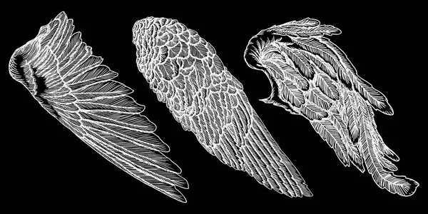 手描きのヴィンテージ翼セット — ストックベクタ