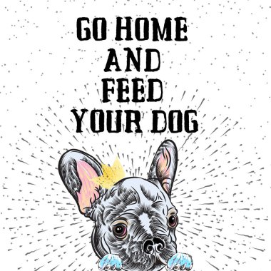 Fransız Bulldog köpek poster