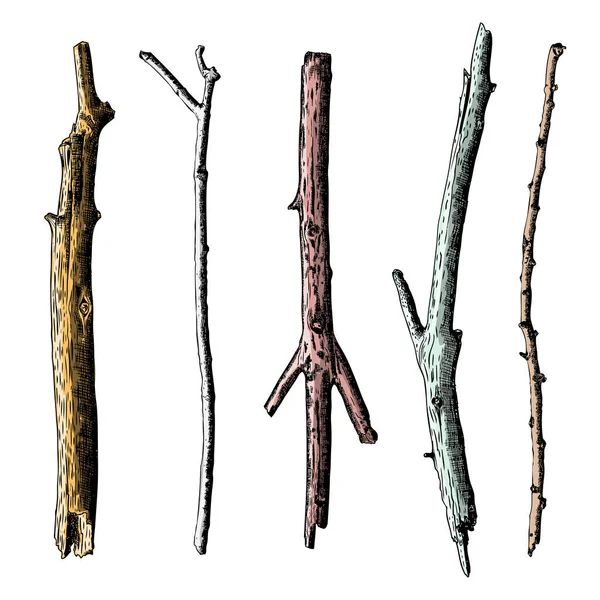 Set of ink drawing wood twigs — Stock Photo, Image