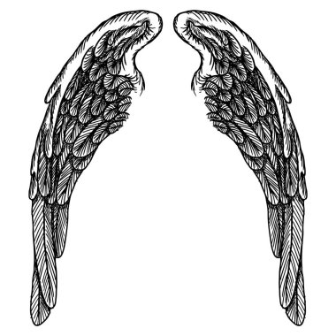 Ve güzel kanatlar yaymak