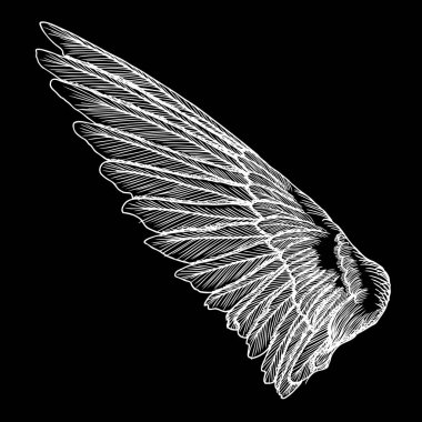 Elle çizilmiş vintage kuş kanat