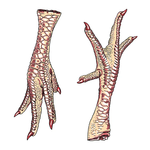 Курячі ноги для китайських плита — стоковий вектор