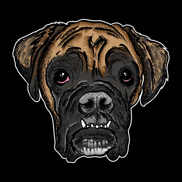 Retrato de un perro sobre fondo negro — Vector de stock