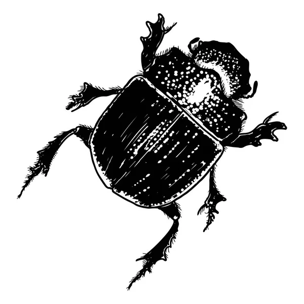 Scarab beetle tekening — Stockvector