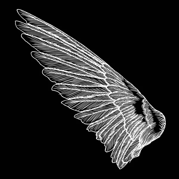 翼手绘制的老式鸟 — 图库矢量图片