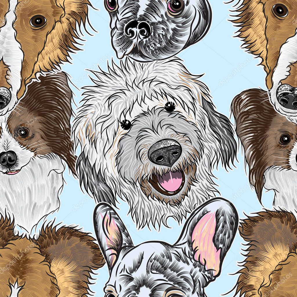 Seamless pattern with portrait dogs