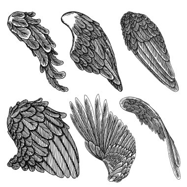 Ve güzel elle çizilmiş vintage kanatlar
