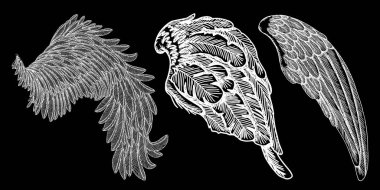 Ve güzel elle çizilmiş vintage kanatlar
