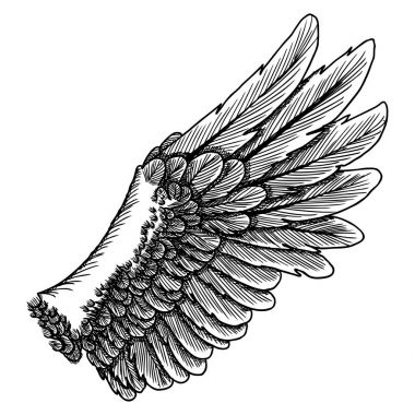 Elle çizilmiş vintage kuş kanat