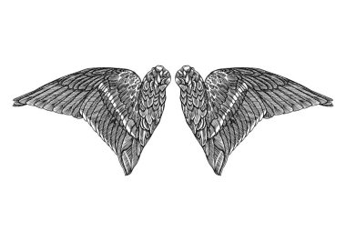 Çift elle çizilmiş vintage kanatlar