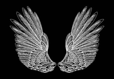 Çift elle çizilmiş vintage kanatlar