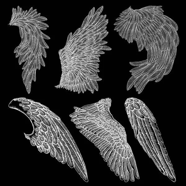Set de aripi de epocă trase manual — Vector de stoc