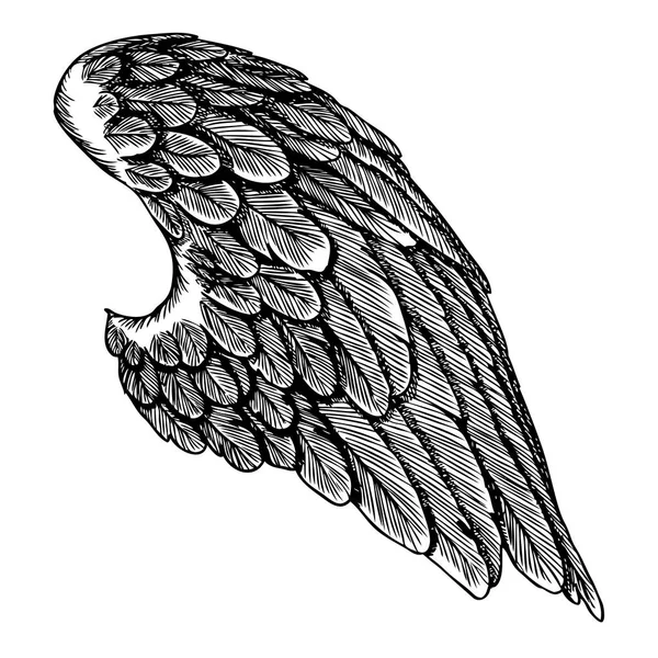 Elle çizilmiş vintage kuş kanat — Stok Vektör