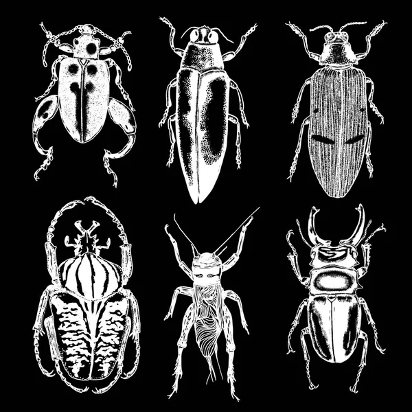 Grote reeks van insecten — Stockvector