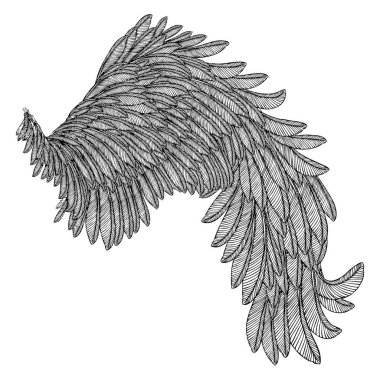 Elle çizilmiş vintage kuş kanat