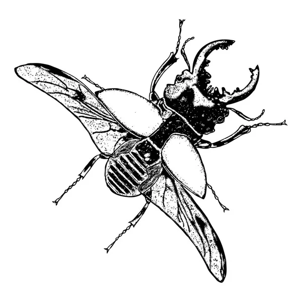 飞行的昆虫素描 — 图库矢量图片