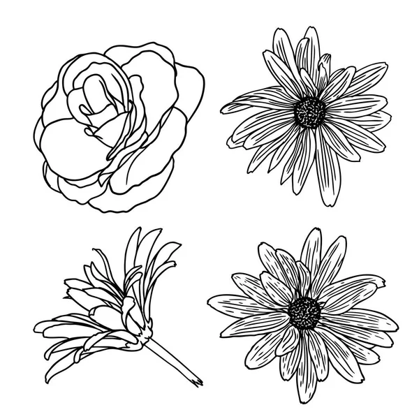 Blumen Illustrationen gesetzt — Stockfoto