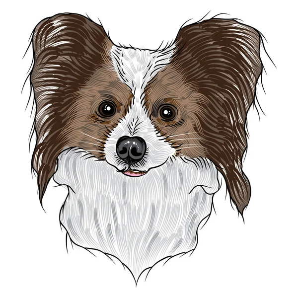 Dibujo de cachorro de papillón — Vector de stock