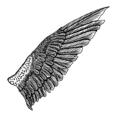 Elle çizilmiş vintage kuş kanat