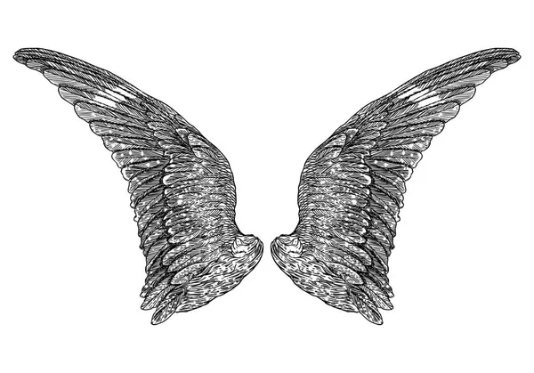 Ręcznie rysowane vintage skrzydła pary — Wektor stockowy