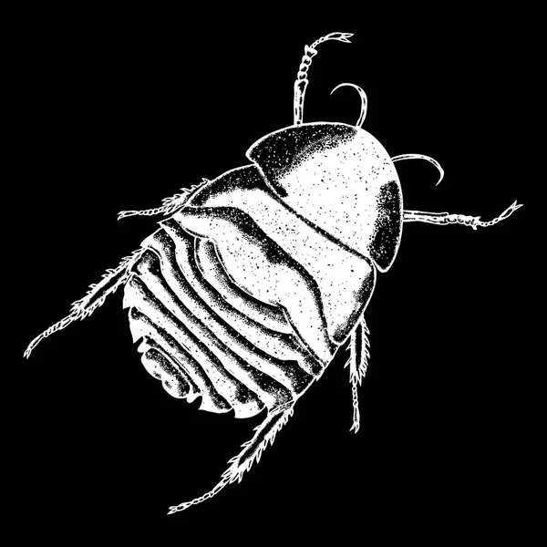 Insect stipple tekening — Stockvector