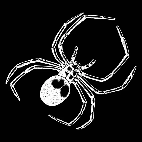 Spinne im trendigen Stickmuster — Stockvektor