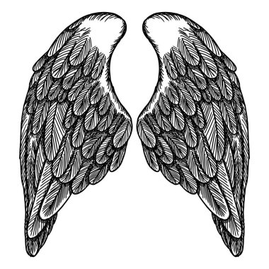 Kanatları resimde kümesi yaymak